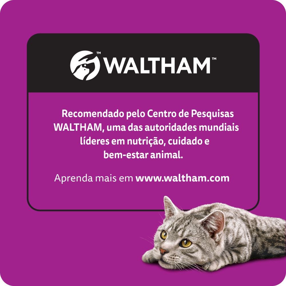 Ração Seca para Gatos Adultos WHISKAS® Melhor Por Natureza Salmão - 6
