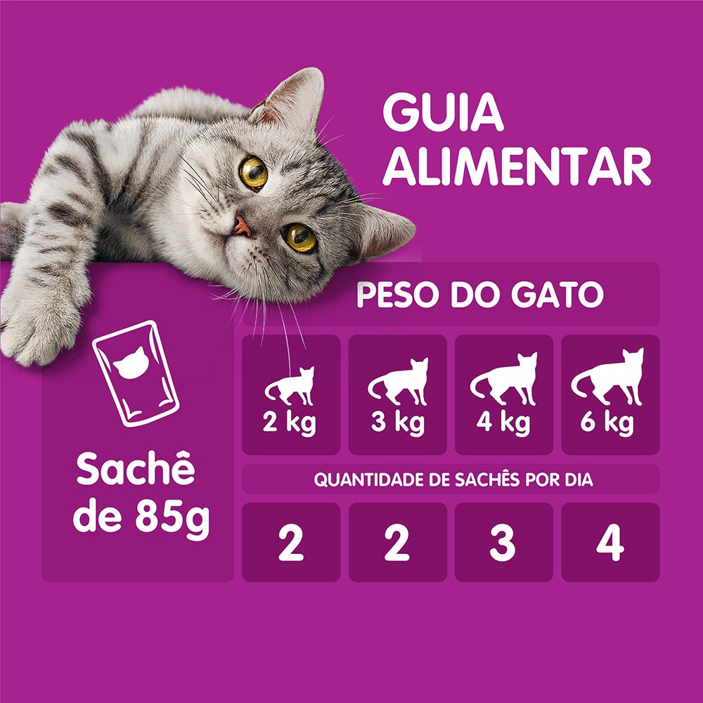 Ração Úmida para Gatos Adultos WHISKAS® Sachê Carne ao Jelly - 5