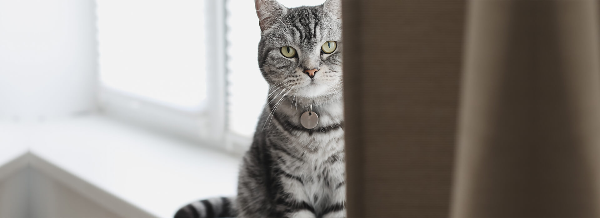 Artigos Default Desktop