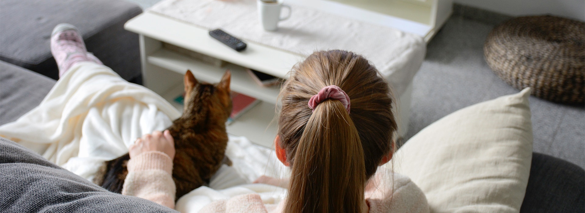 6 dicas essenciais para criar gatos em apartamento