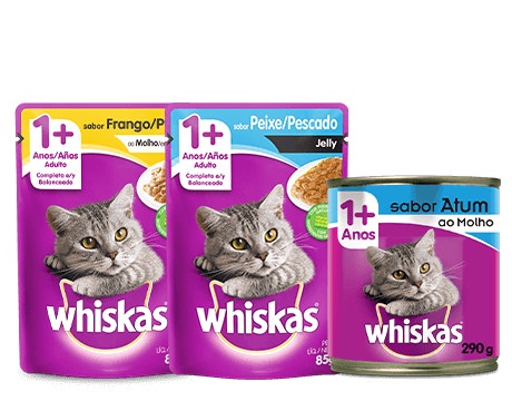 Whiskas Ração úmida