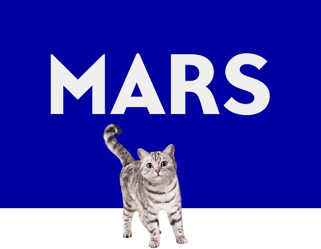 Mars global brand