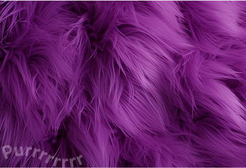 Banner Mundo com mais ronronados